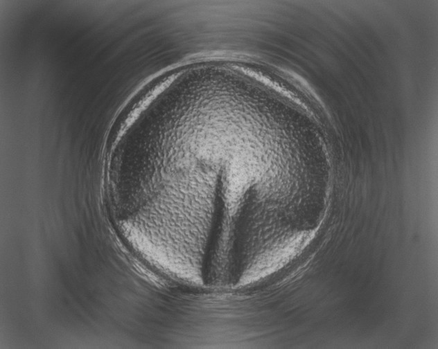 X0000082971228200702222358