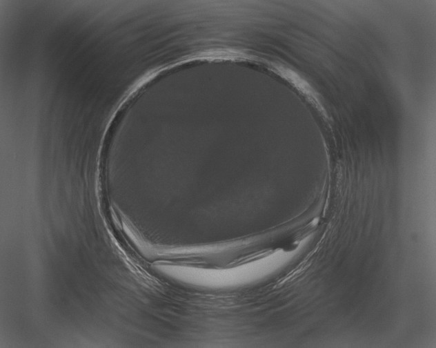X0000082971229200702222358