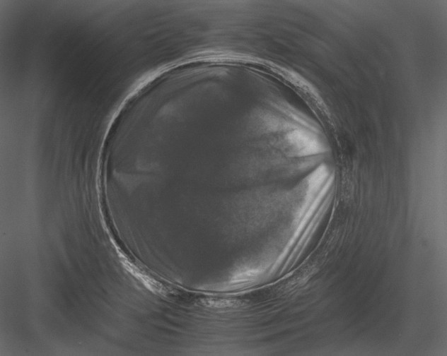 X0000082971231200702222358