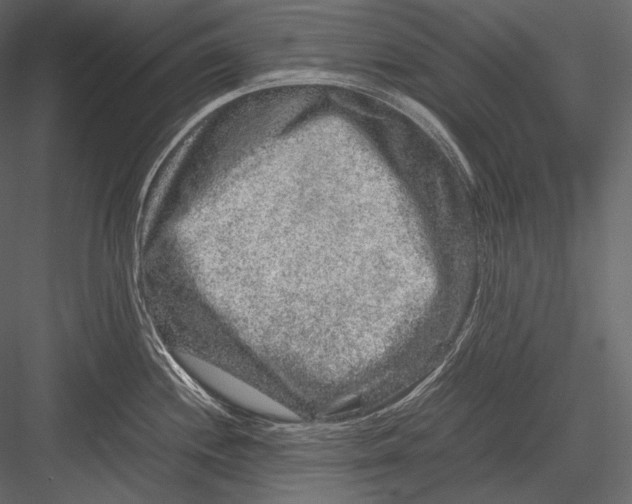 X0000082971244200702222358