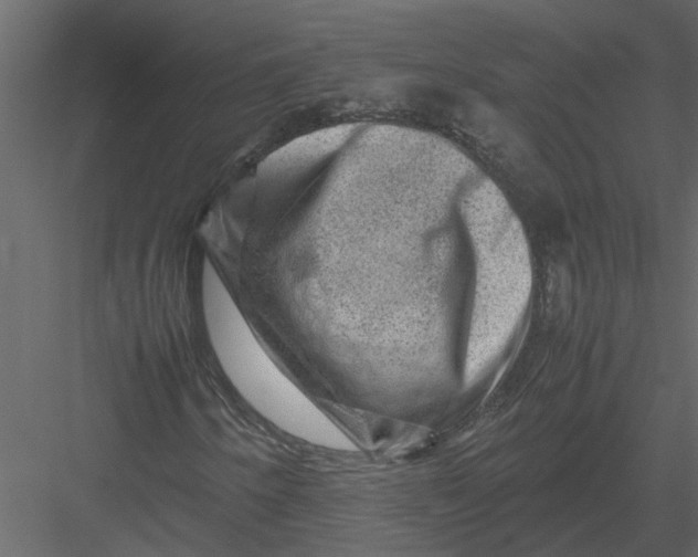 X0000082971250200702222357