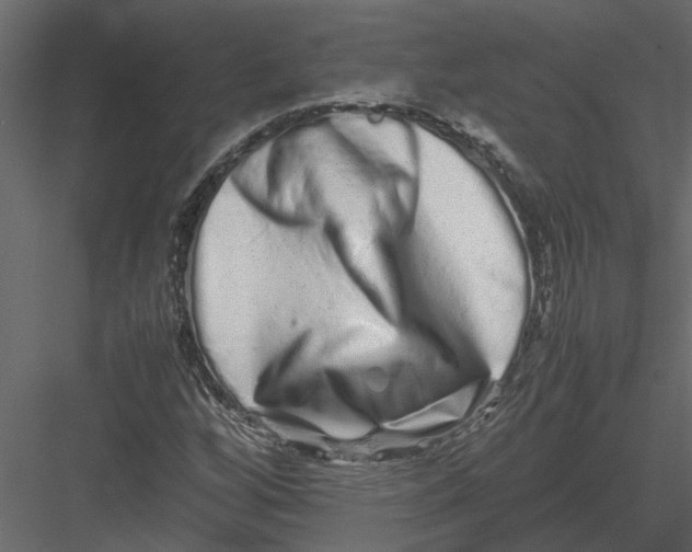 X0000082971256200702222357