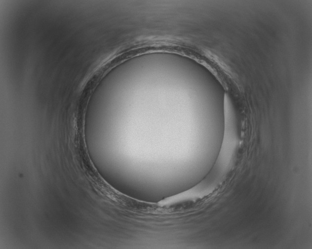 X0000082971261200702222357