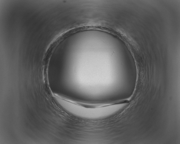 X0000082971262200702222357