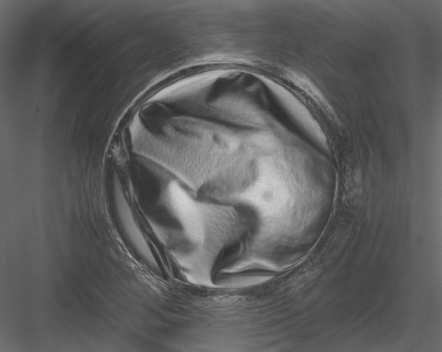 X0000082971268200702222357