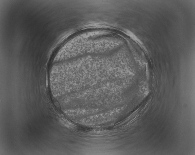 X0000082971269200702222357
