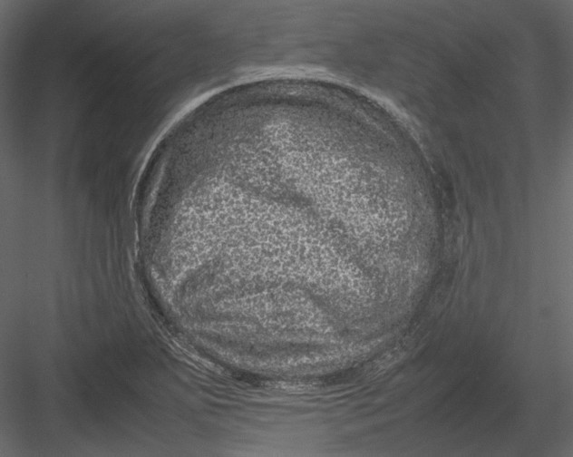 X0000082971271200702222357