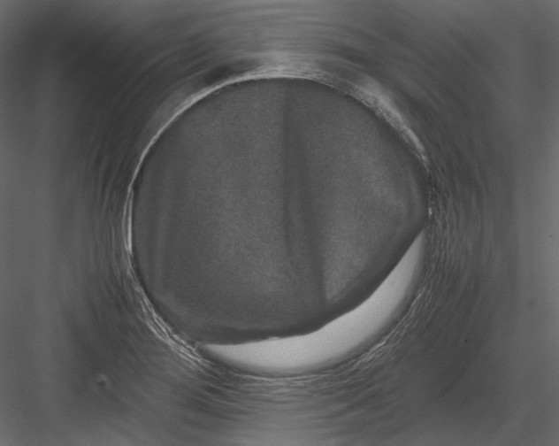 X0000082971276200702222357