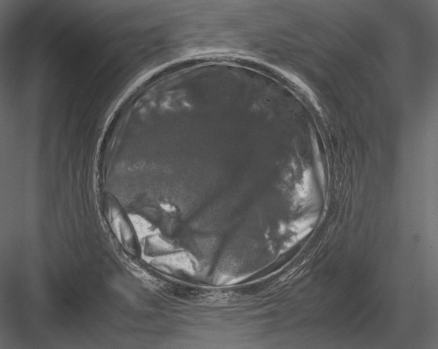 X0000082971279200702222357