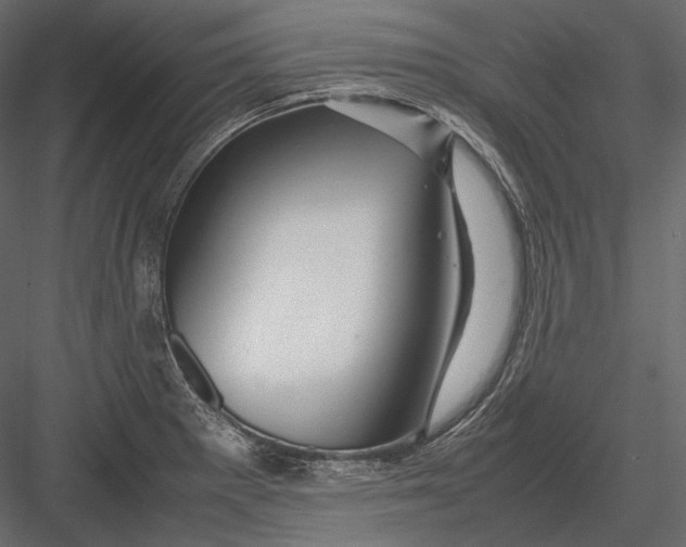 X0000082971281200702222357