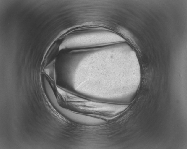 X0000082971284200702222356