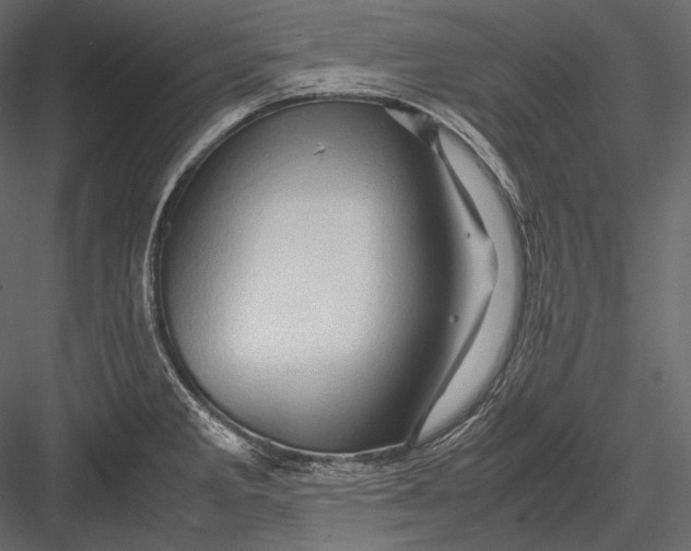 X0000082971285200702222356