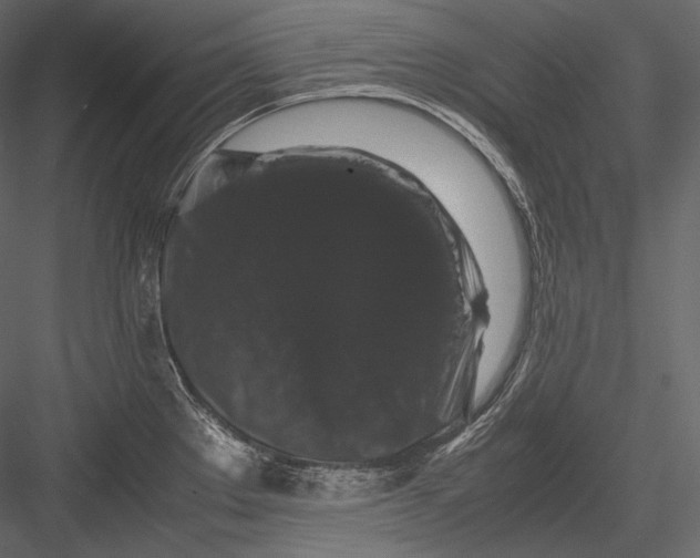 X0000082971289200702222356
