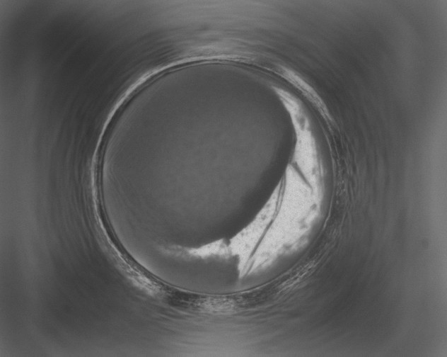 X0000082971291200702222356