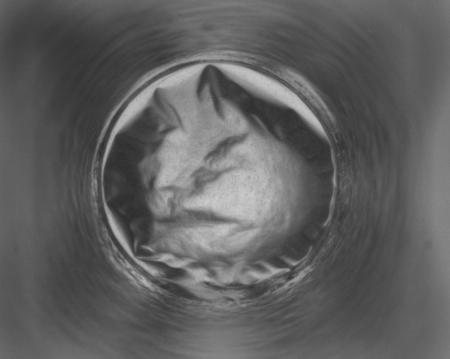 X0000082971292200702222356