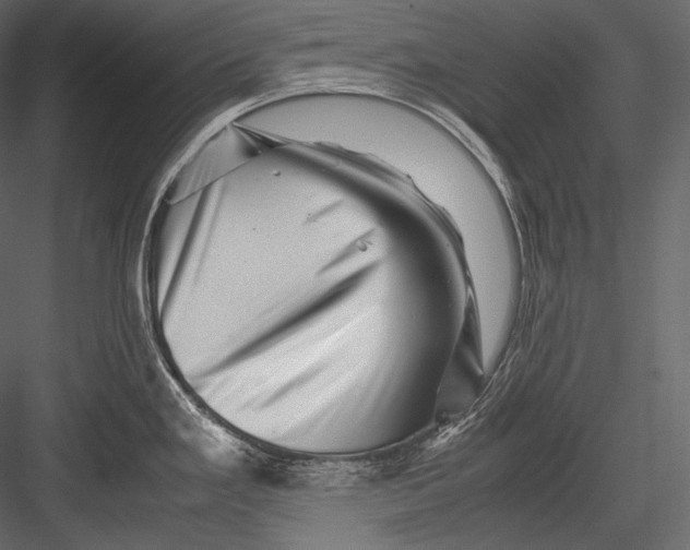X0000082971293200702222356