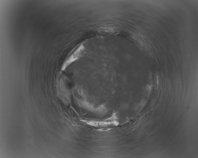 X0000082971297200702222355