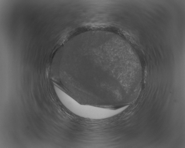 X0000082971300200702222356