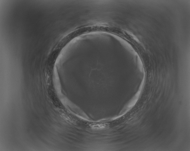X0000082971303200702222356