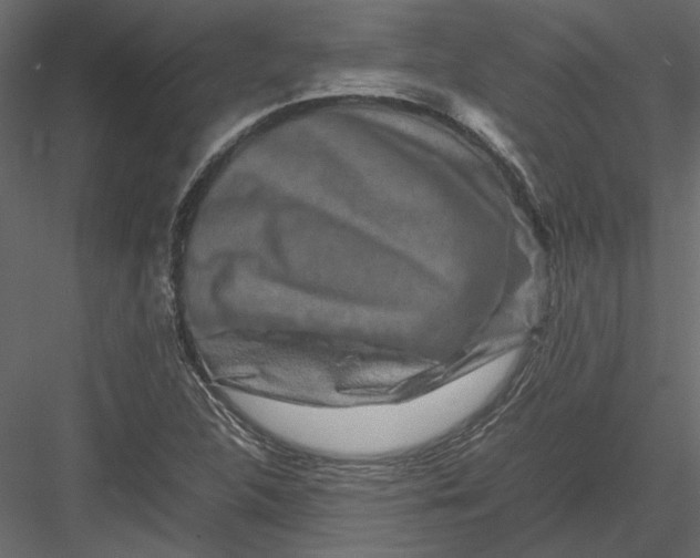 X0000082971312200702222356