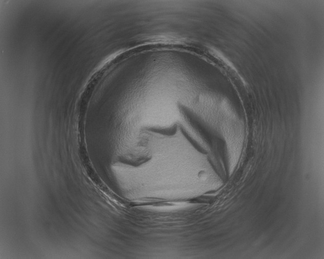 X0000082971315200702222356
