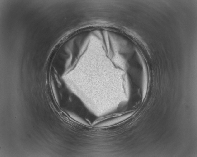 X0000082971318200702222356