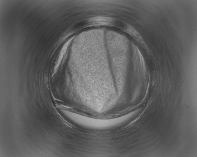 X0000082971321200702222356