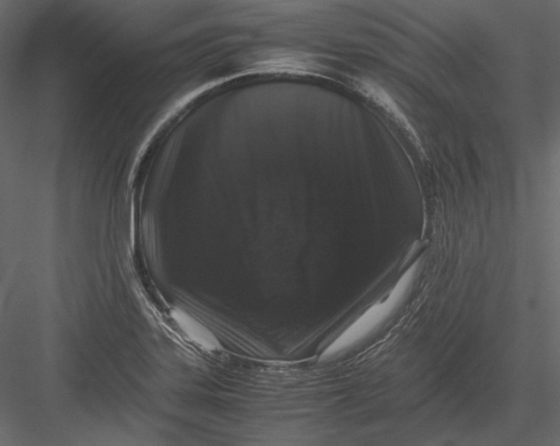 X0000082971323200702222356