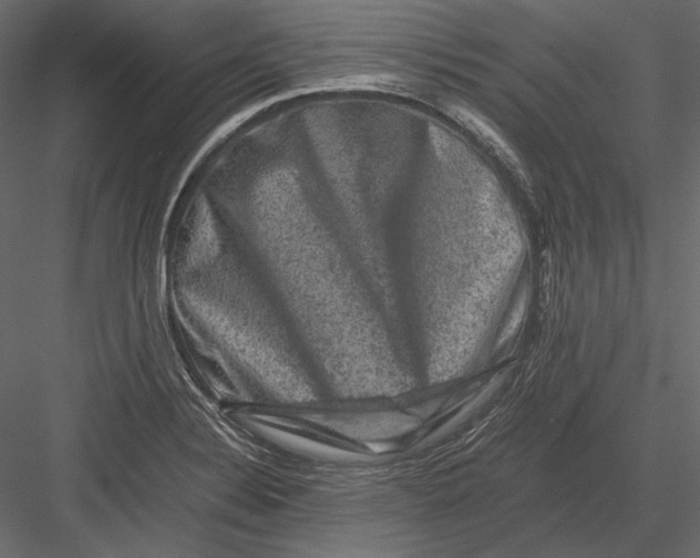 X0000082971324200702222356