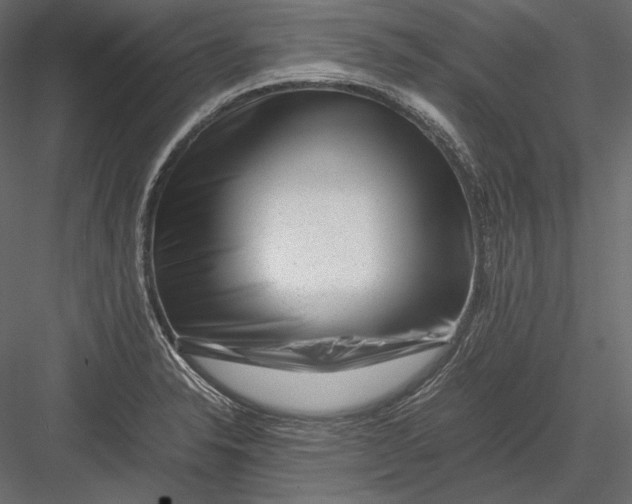 X0000082971326200702222356