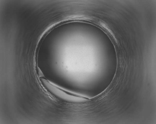 X0000082971328200702222356