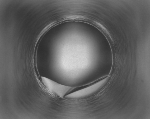 X0000082971330200702222356