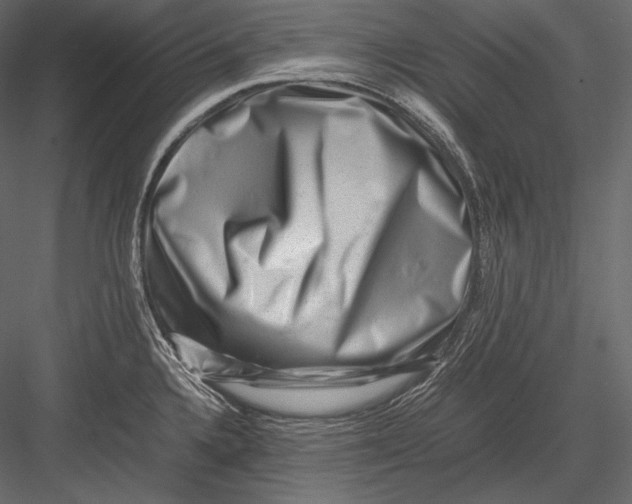 X0000082971336200702222356