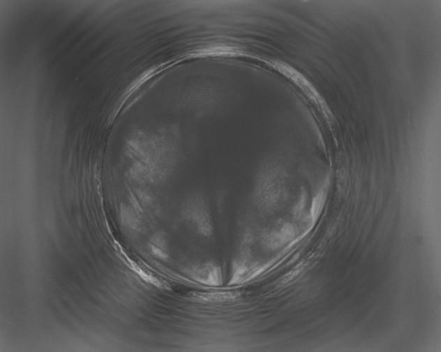 X0000082971337200702222356