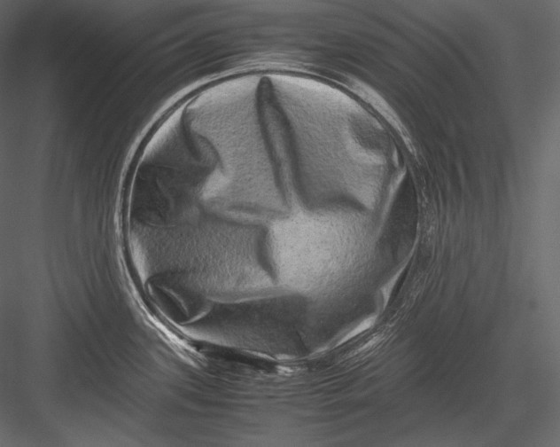 X0000082971339200702222356