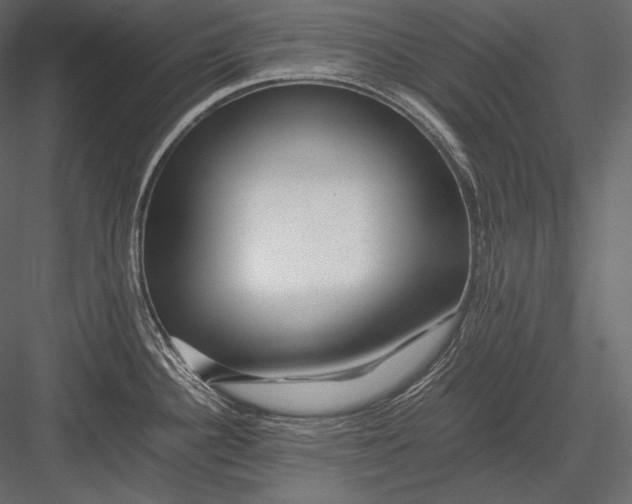 X0000082971340200702222356