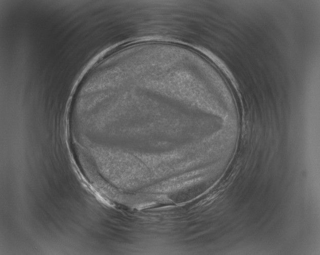 X0000082971341200702222356