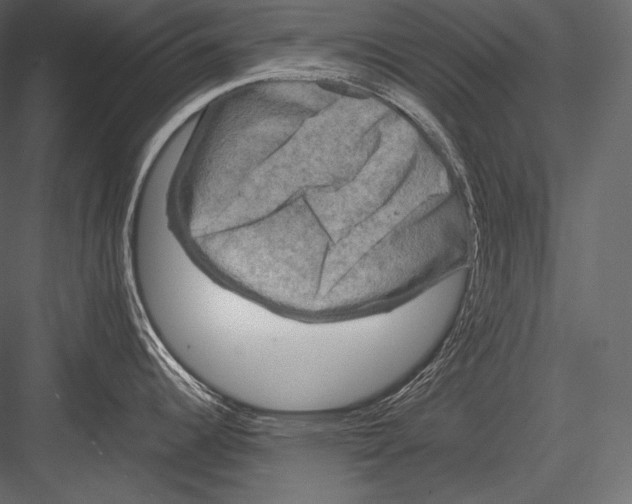 X0000082971344200702222356