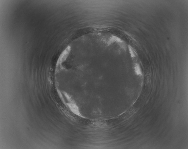 X0000082971346200702222355