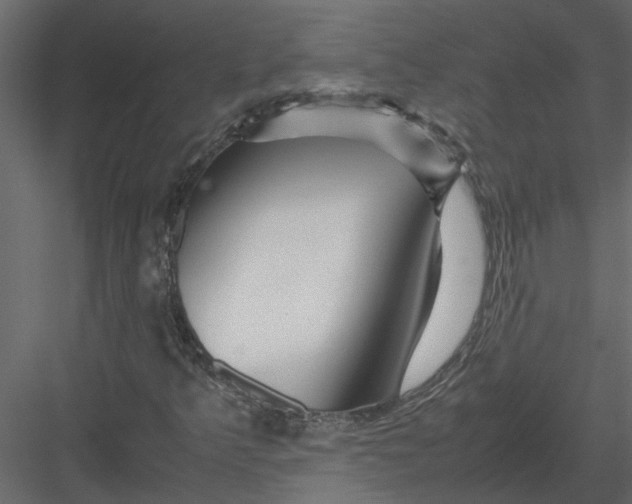 X0000082971349200702222355