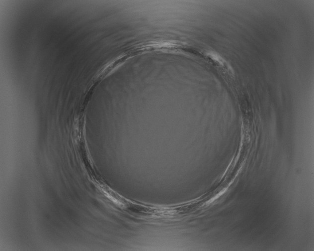 X0000082971353200702222355