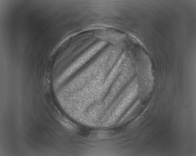 X0000082971355200702222355