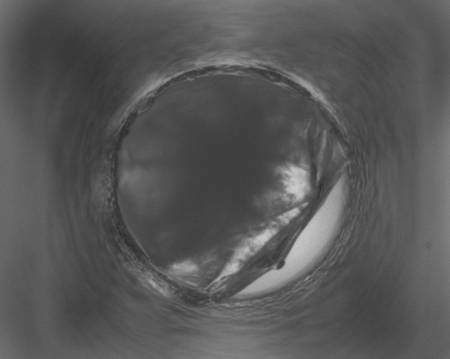 X0000082971359200702222355