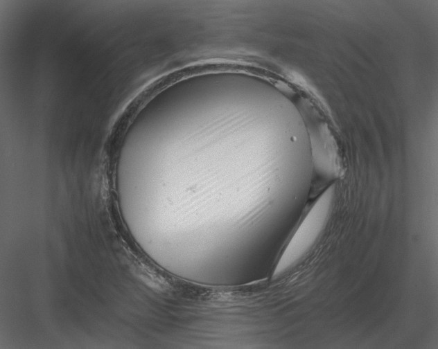 X0000082971360200702222355