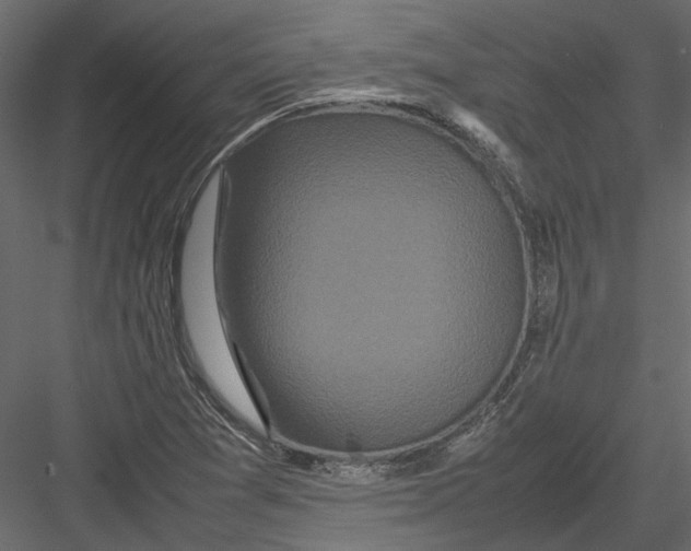 X0000082971361200702222355