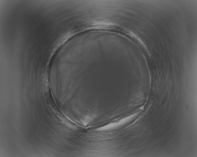 X0000082971362200702222355