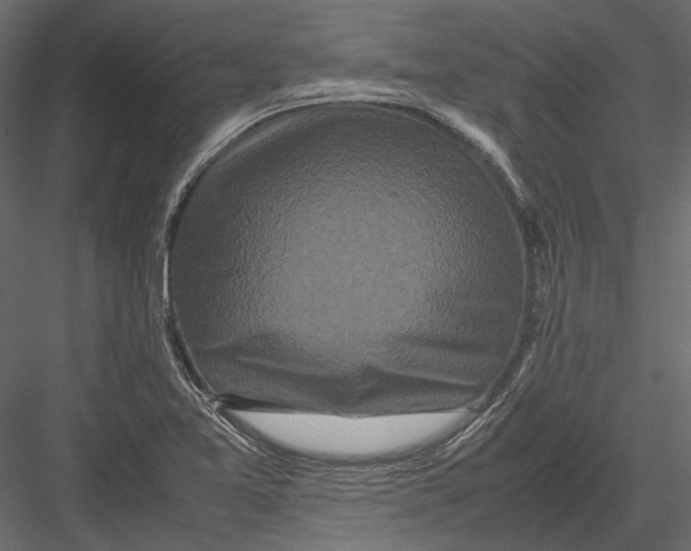 X0000082971365200702222355