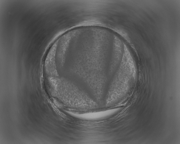 X0000082971366200702222355