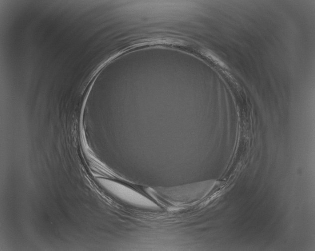 X0000082971369200702222355