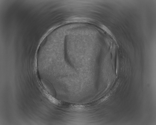 X0000082971370200702222355